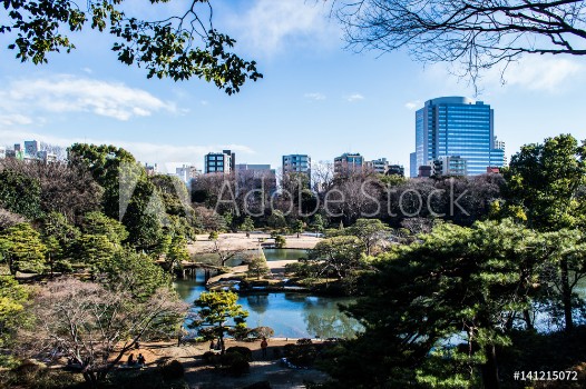 Picture of Rikugien Garden in Tokyo